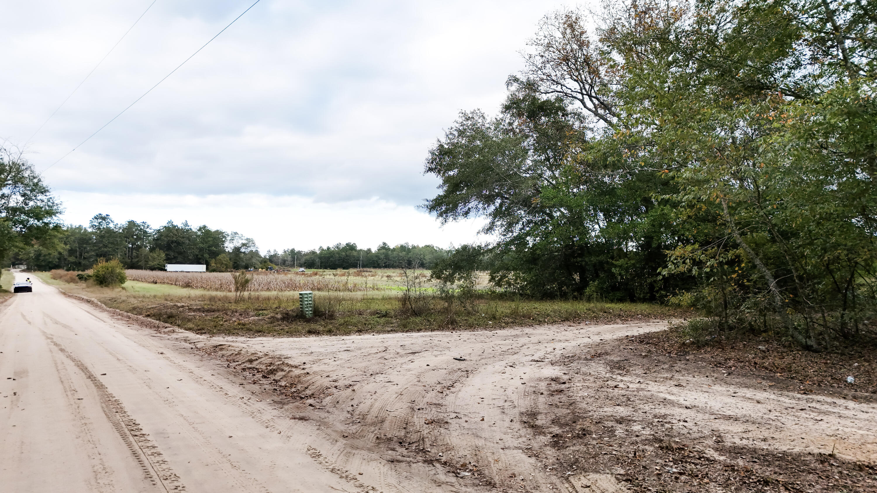 0 Chavis Road Blackville, SC 29817 - Photo 11 of 22 1-DJI_20251031050531_0272_D