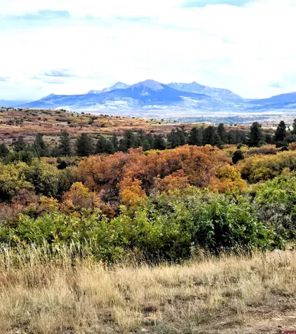 a view of a town with mountains in the background