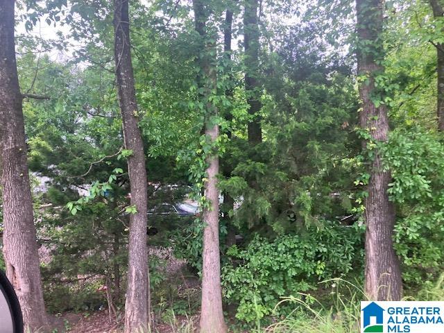 3115 Eddins Road Tuscaloosa, AL 35401 - Photo 21 of 25