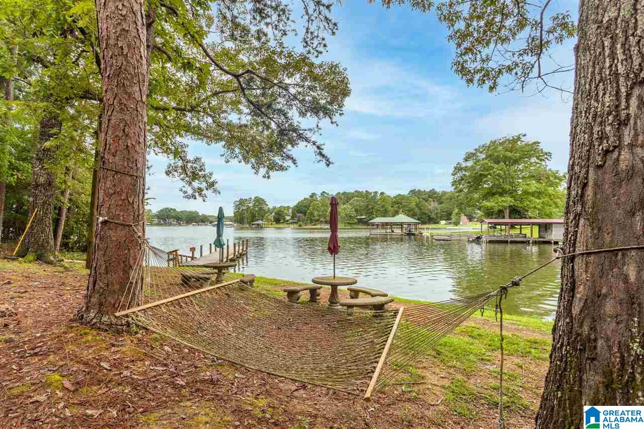 45 Clearwater Point Road Cropwell, AL 35054 - Photo 35 of 39