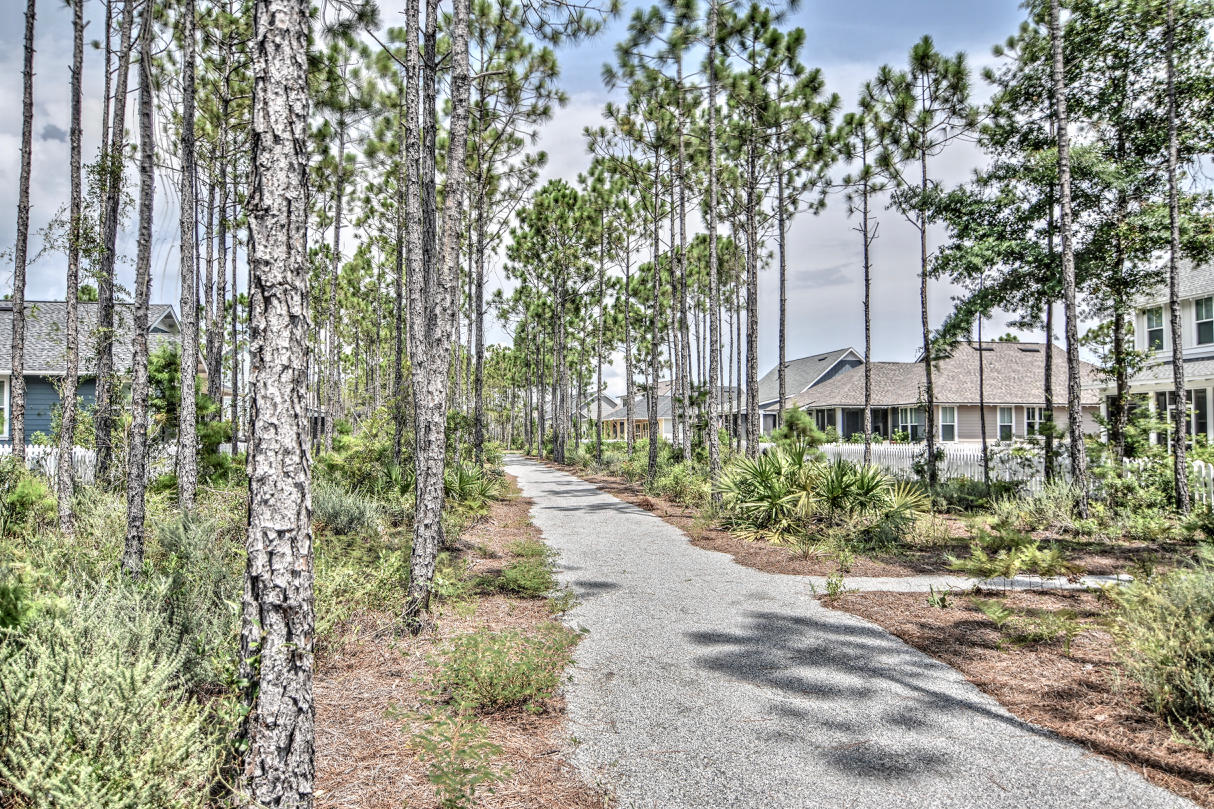 147 Jack Knife Drive Watersound, FL 32461 - Photo 23 of 42 a pathway of a house with a yard and fountain in middle