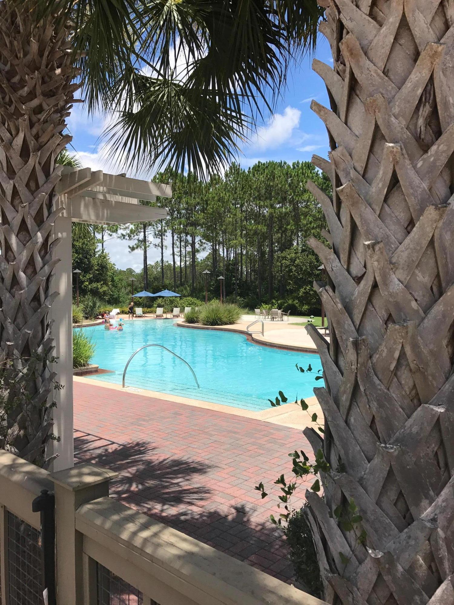 147 Jack Knife Drive Watersound, FL 32461 - Photo 34 of 42 a view of a yard with an umbrella and large trees
