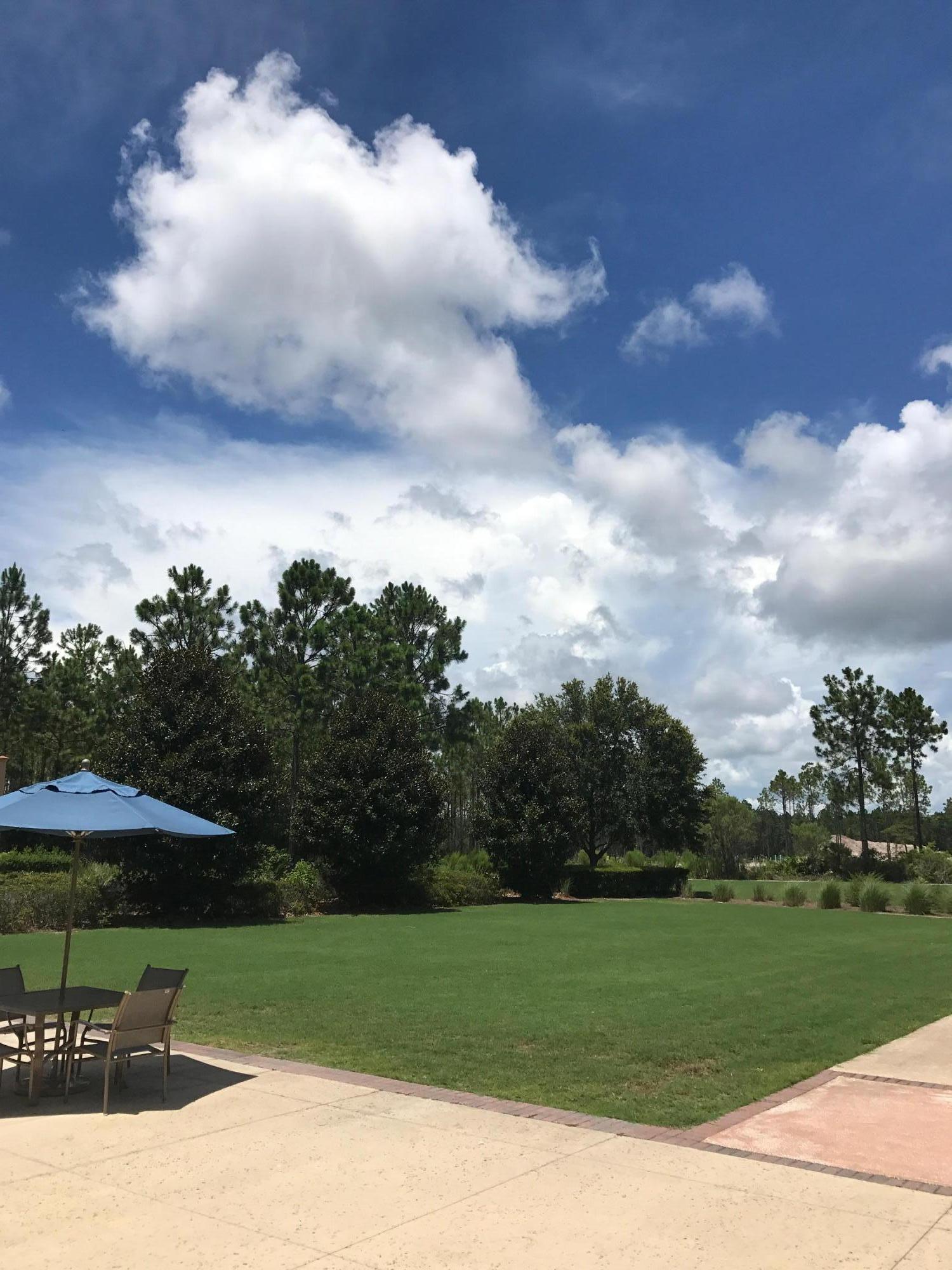 147 Jack Knife Drive Watersound, FL 32461 - Photo 38 of 42 a view of a garden