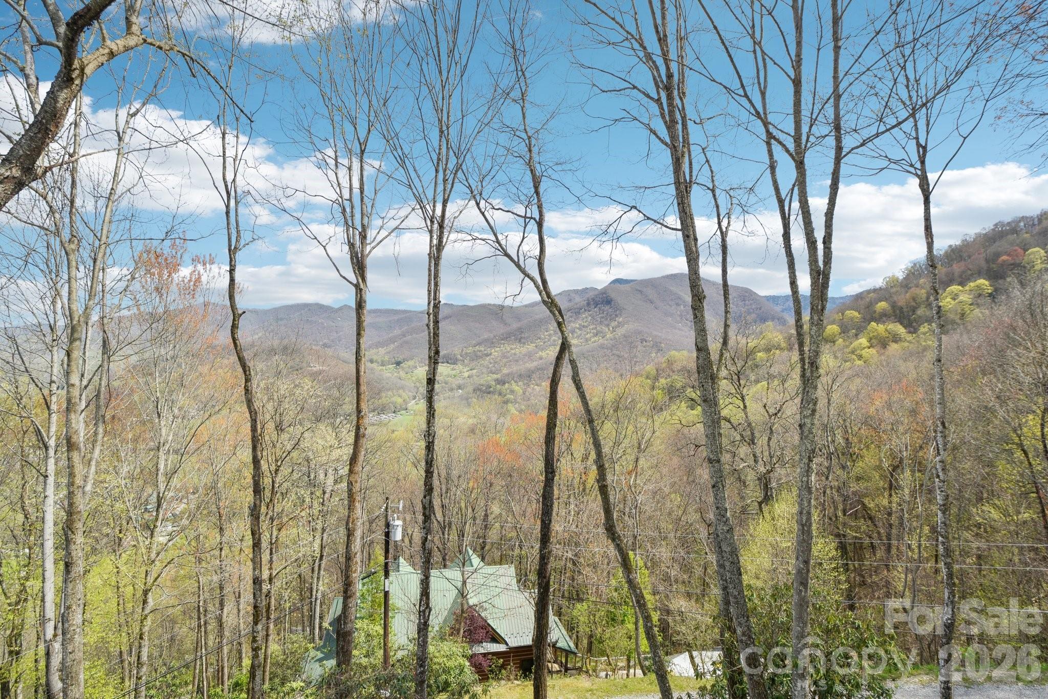 1426 Setzercove Road Maggie Valley, NC 28751 - Photo 34 of 48 a view of lake from balcony