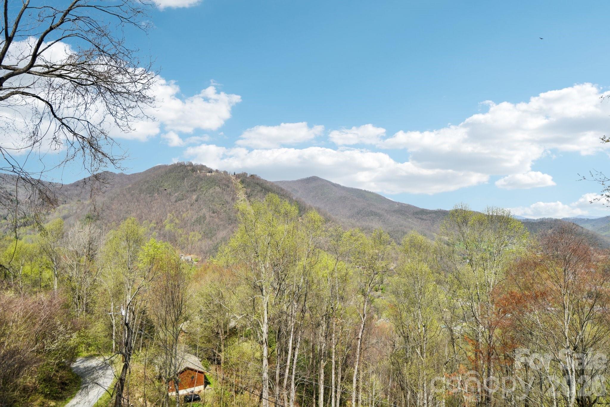1426 Setzercove Road Maggie Valley, NC 28751 - Photo 35 of 48