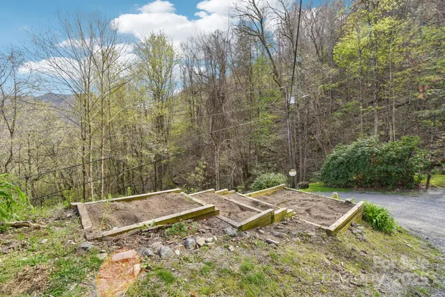 a view of a yard with flower plants