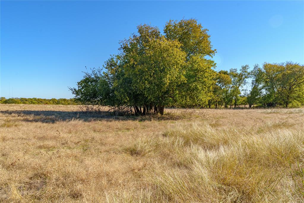 1633 Alexander Road Moody, TX 76557 - Photo 18 of 40 a view of a yard with a tree