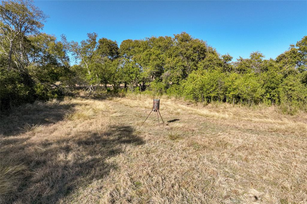 1633 Alexander Road Moody, TX 76557 - Photo 24 of 40 a view of a yard with trees in the background