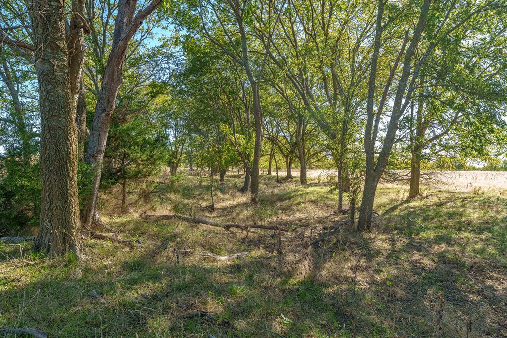 1633 Alexander Road Moody, TX 76557 - Photo 3 of 40 a view of outdoor space and trees