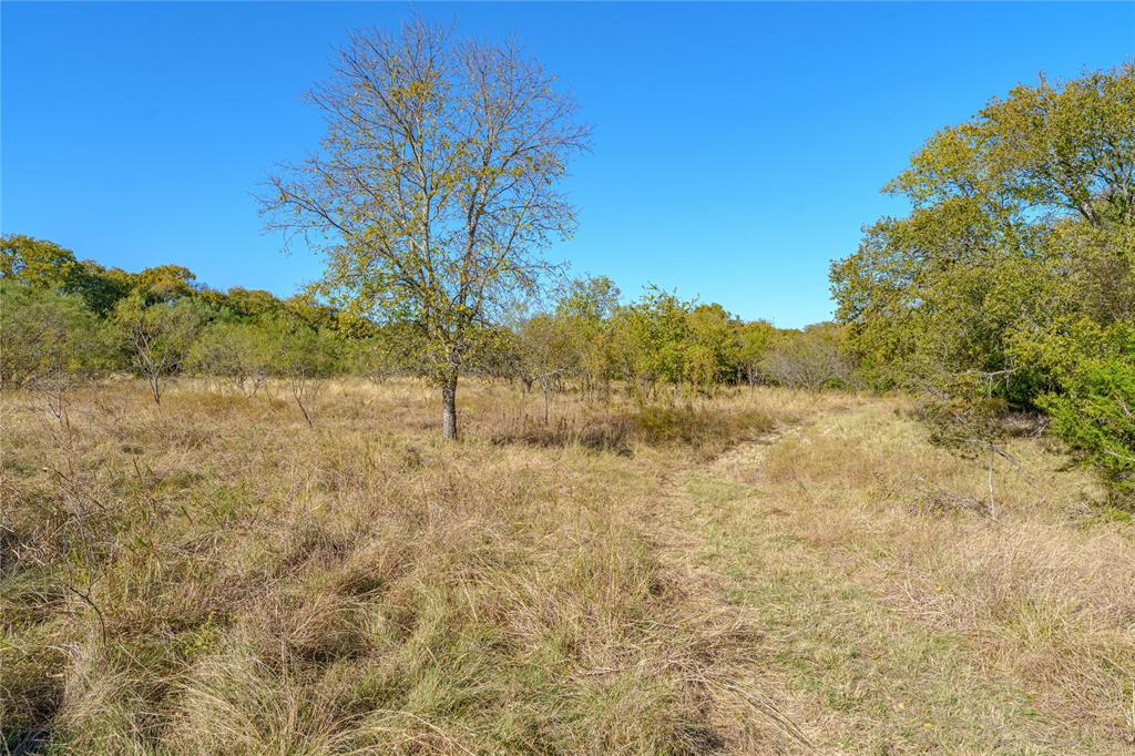 1633 Alexander Road Moody, TX 76557 - Photo 35 of 40 a view of a yard with a tree
