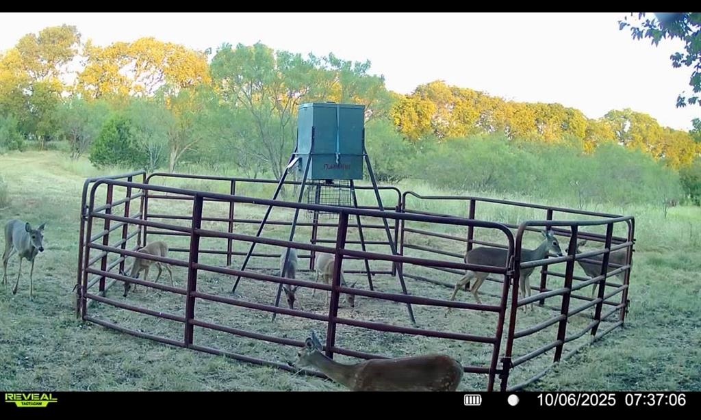 1633 Alexander Road Moody, TX 76557 - Photo 39 of 40