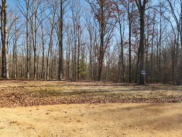a view of a backyard of the house