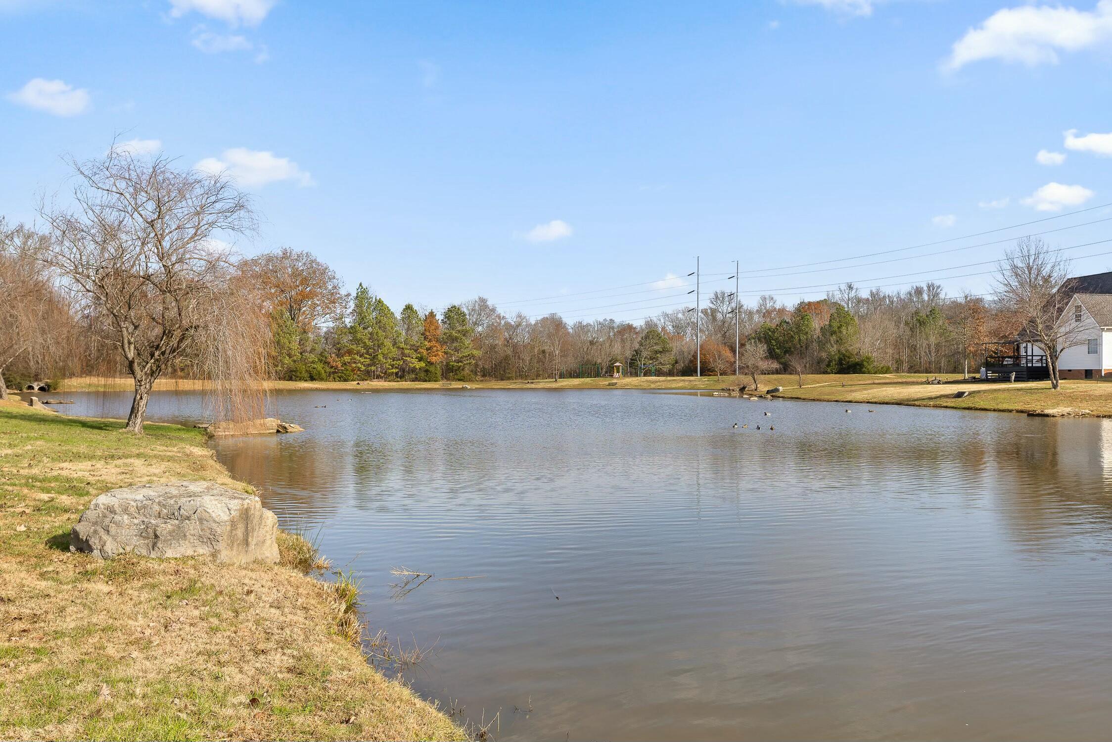 91 Rocky River Road Ringgold, GA 30736 - Photo 40 of 41 Neighborhood Pond