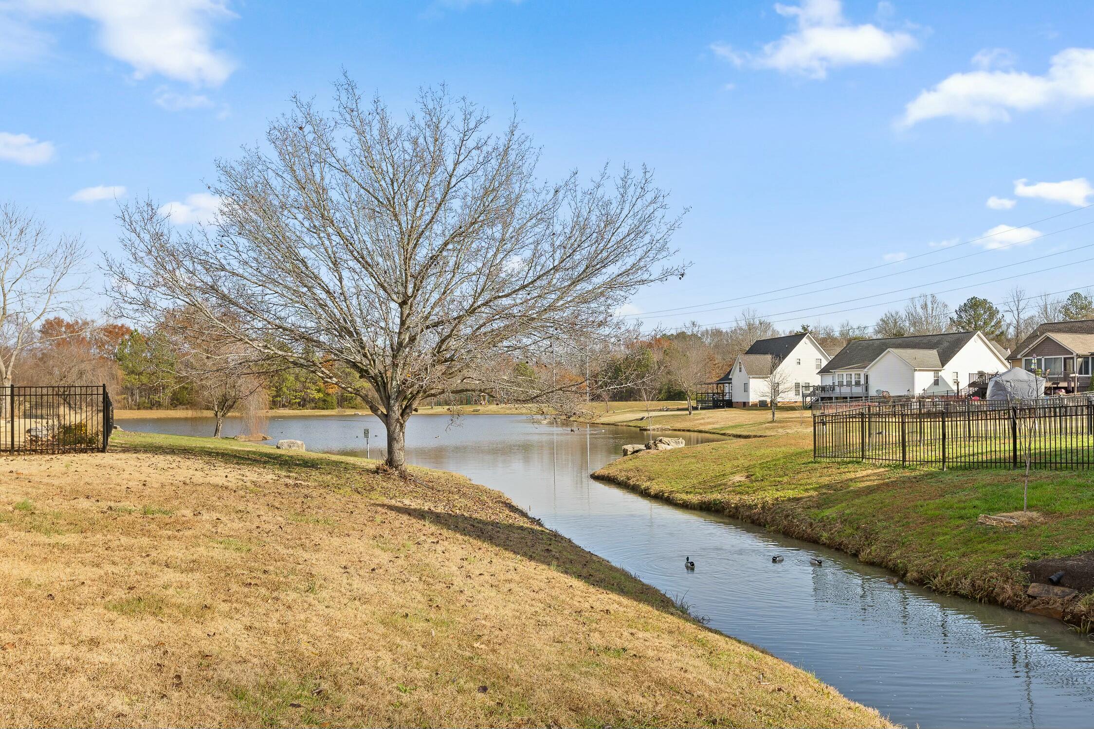91 Rocky River Road Ringgold, GA 30736 - Photo 41 of 41 Neighborhood Pond