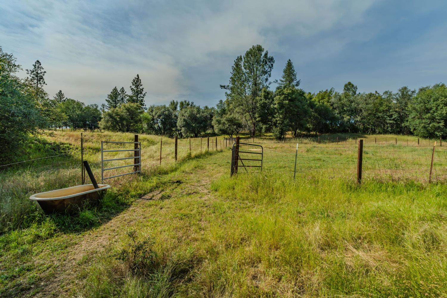 6216 Trout Lane Mountain Ranch, CA 95246 - Photo 32 of 39 a view of a lake with a yard
