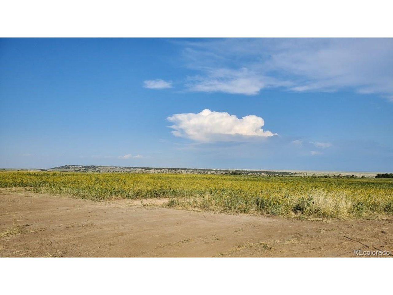 120 Hawks Prairie Road Rye, CO 81069 - Photo 1 of 8 a open area with a lake view