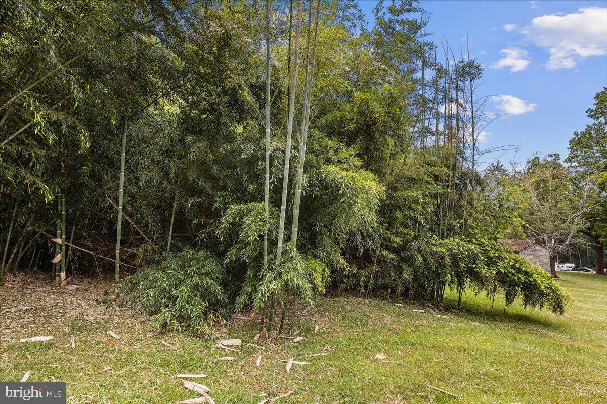 14251 Miller Road Orange, VA 22960 - Photo 11 of 12 Gallery Image 11