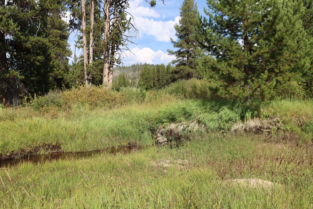L49 Secesh River Road, Unit 49 McCall, ID 83638 - Photo 5 of 12