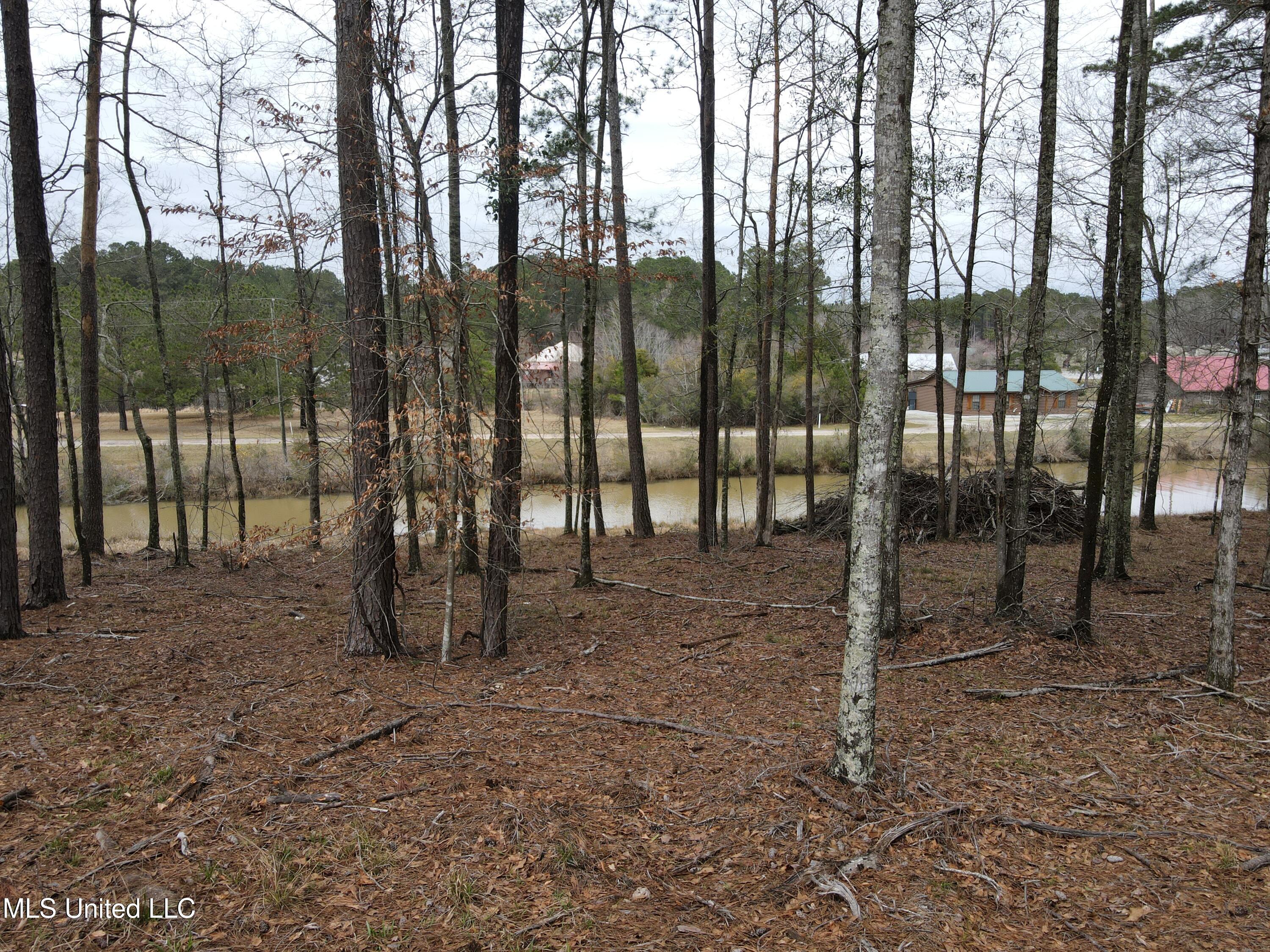 Pine Tree Road Pachuta, MS 39347 - Photo 11 of 21 Photo Mar 09 2025, 2 24 06 PM