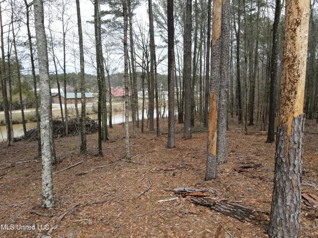 $24,000 | Pine Tree Road, Pachuta, MS 39347