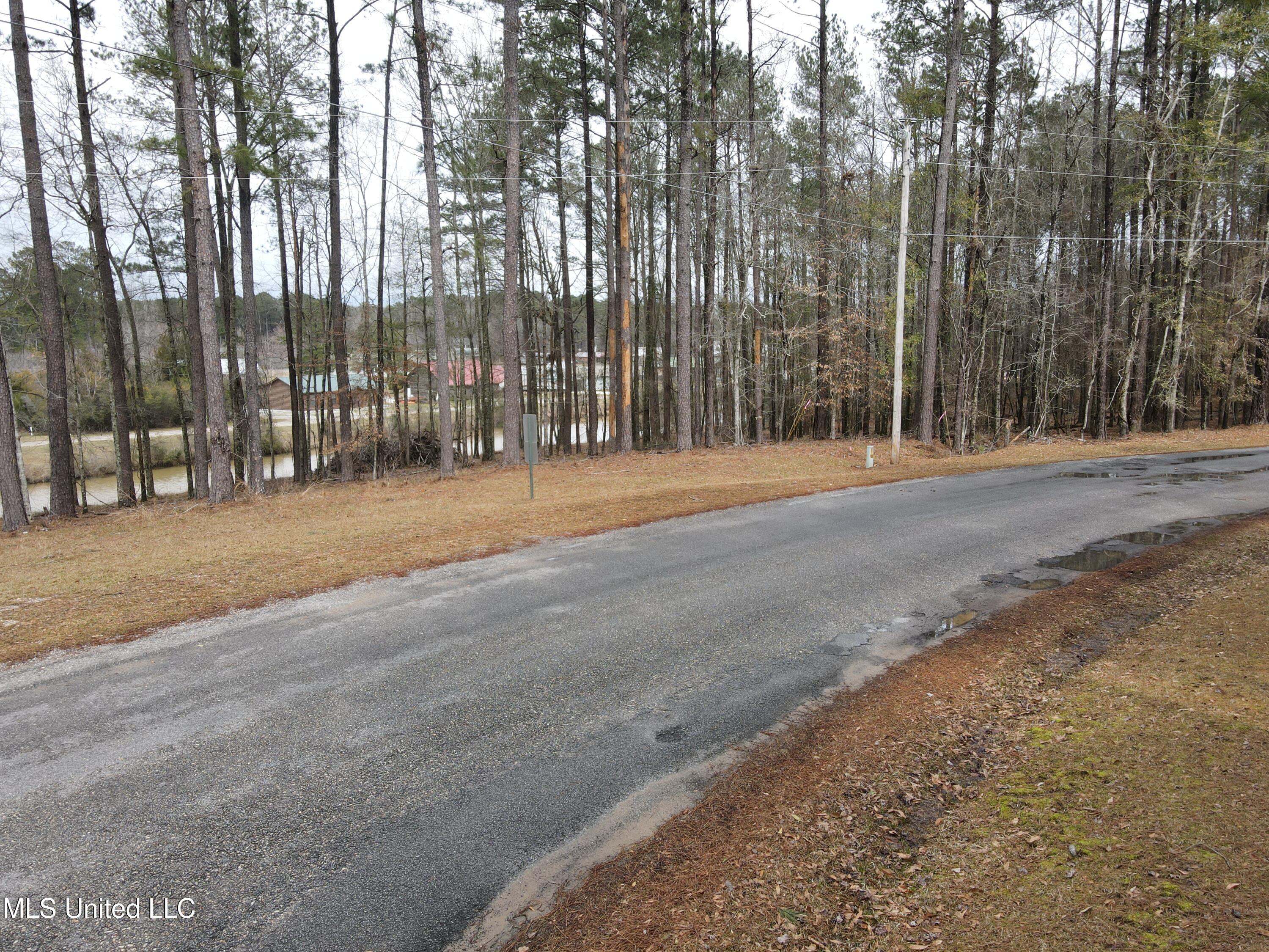 Pine Tree Road Pachuta, MS 39347 - Photo 13 of 21 Photo Mar 09 2025, 2 24 44 PM
