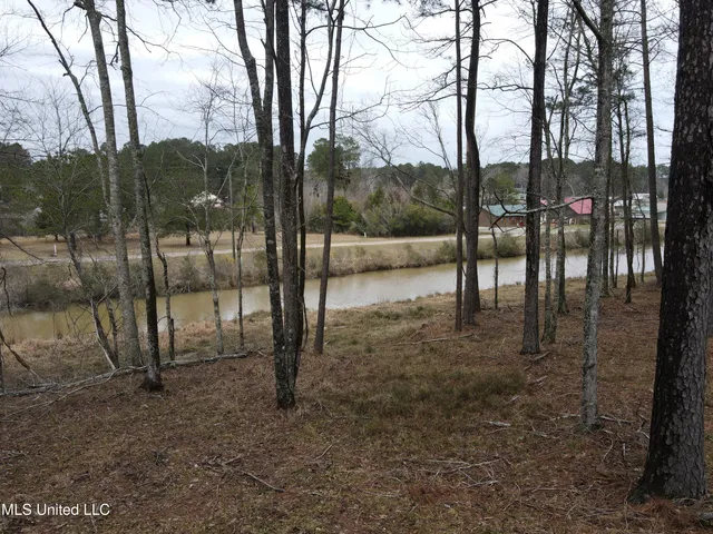$24,000 | Pine Tree Road, Pachuta, MS 39347