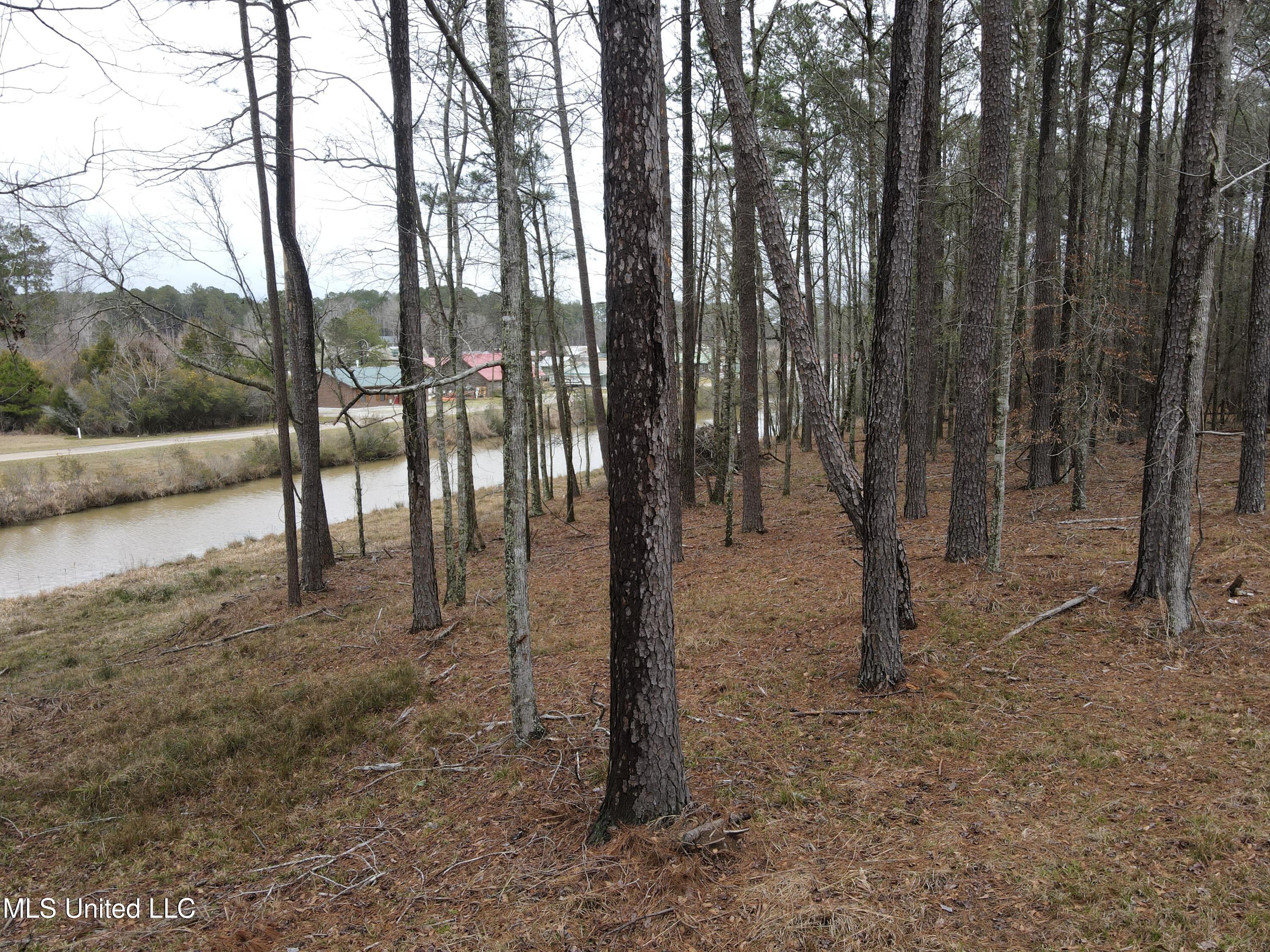 Pine Tree Road Pachuta, MS 39347 - Photo 15 of 21 Photo Mar 09 2025, 2 25 01 PM