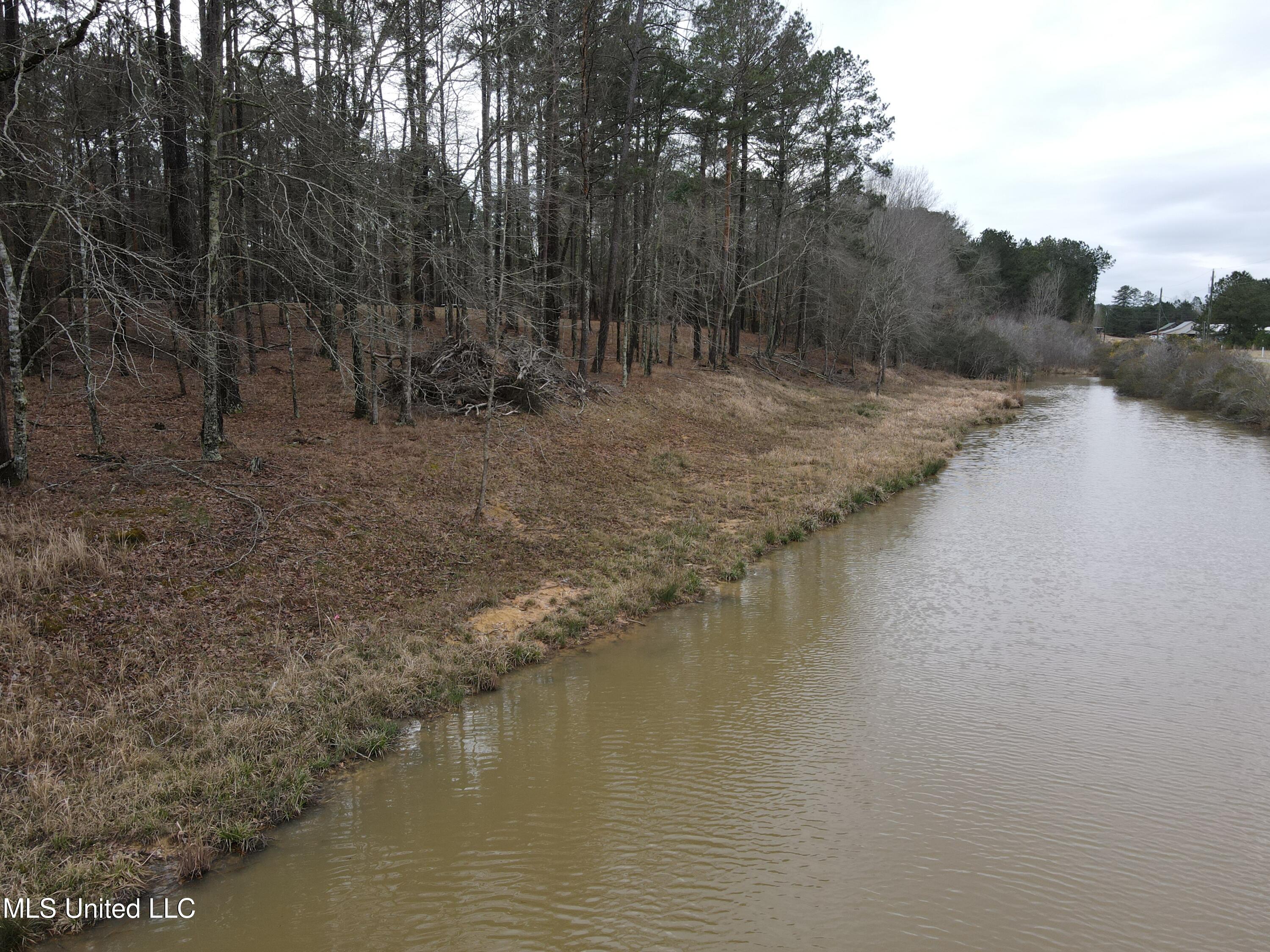 Pine Tree Road Pachuta, MS 39347 - Photo 16 of 21 Photo Mar 09 2025, 2 25 46 PM