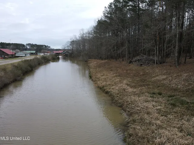 $24,000 | Pine Tree Road, Pachuta, MS 39347