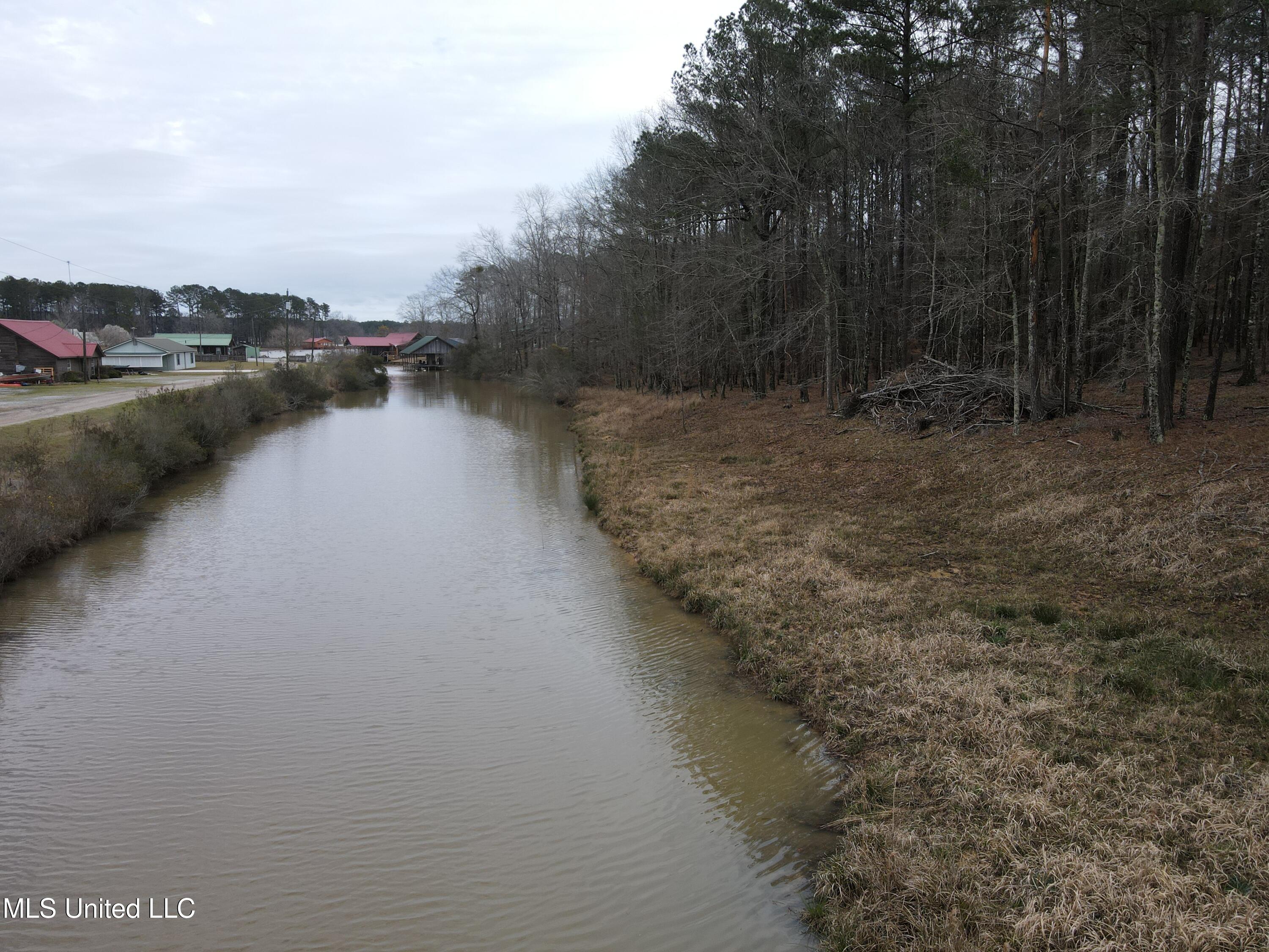 Pine Tree Road Pachuta, MS 39347 - Photo 17 of 21 Photo Mar 09 2025, 2 26 03 PM