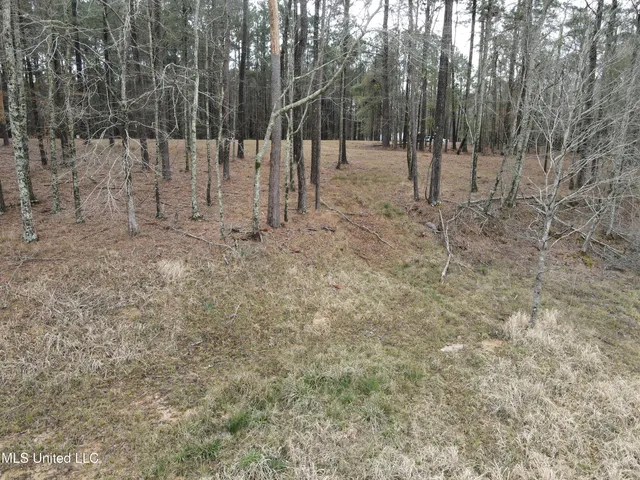 $24,000 | Pine Tree Road, Pachuta, MS 39347