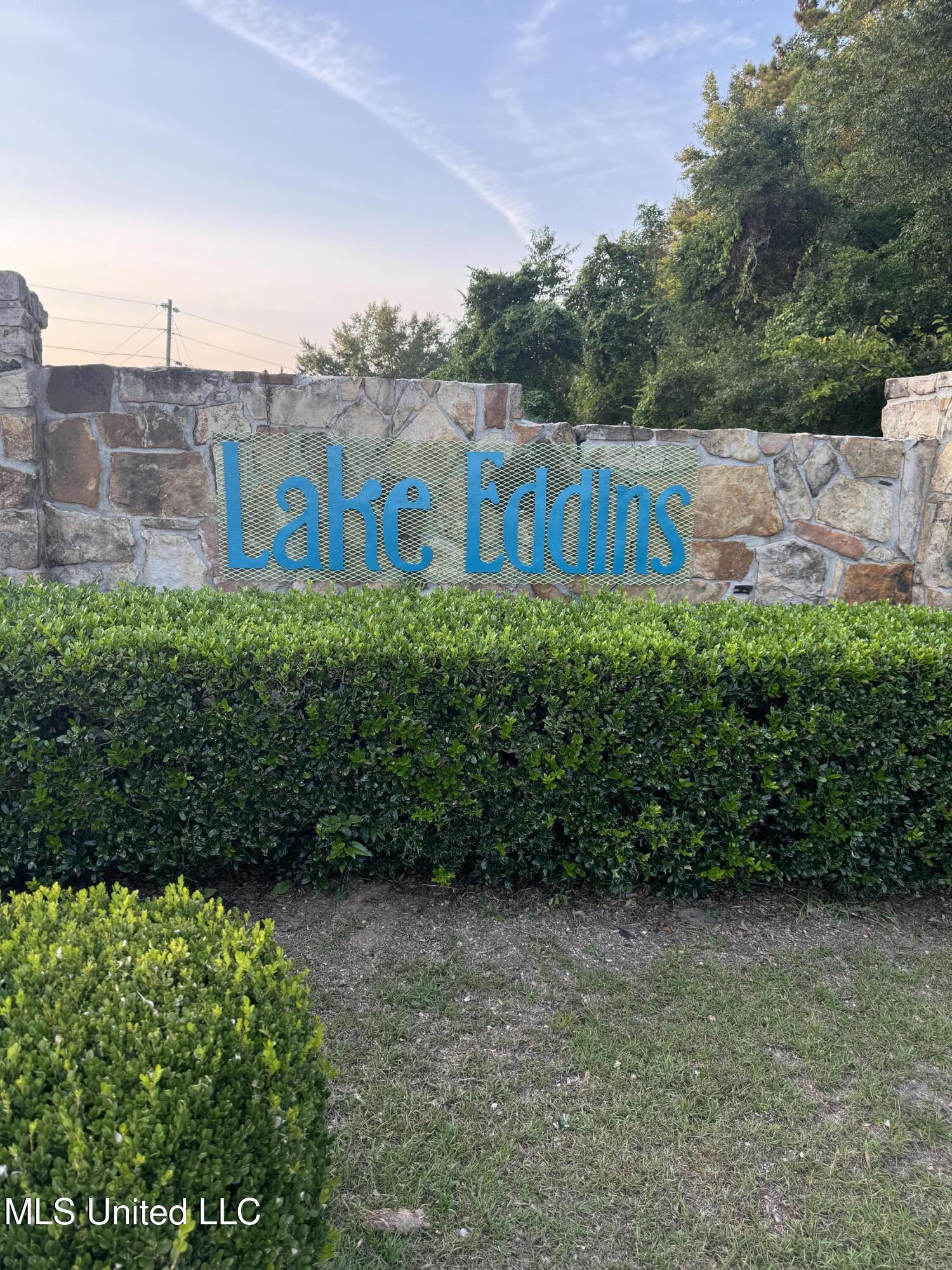 Pine Tree Road Pachuta, MS 39347 - Photo 4 of 21 Photo Aug 13 2024, 7 11 00 PM