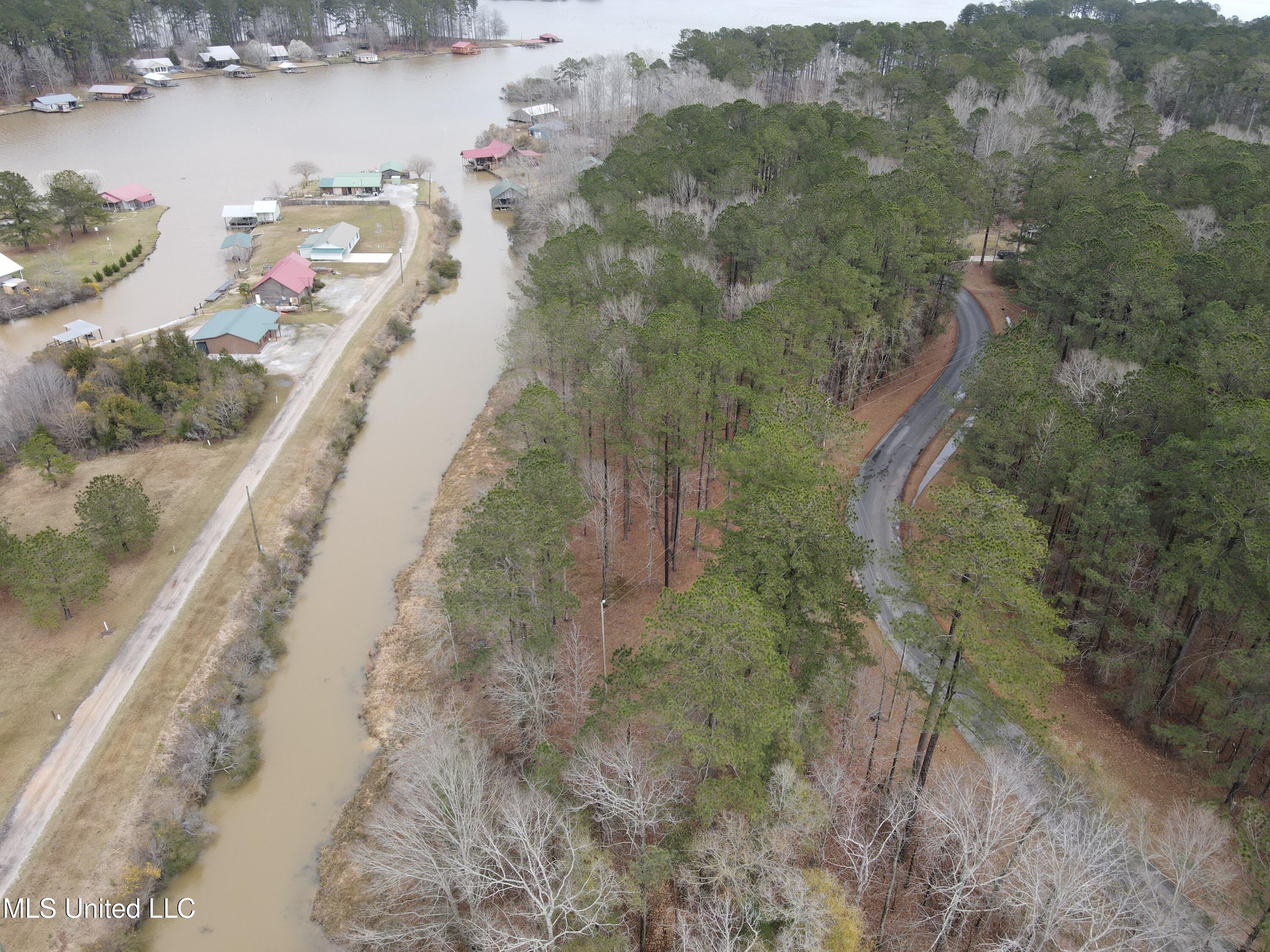 Pine Tree Road Pachuta, MS 39347 - Photo 5 of 21 Photo Mar 09 2025, 2 17 35 PM