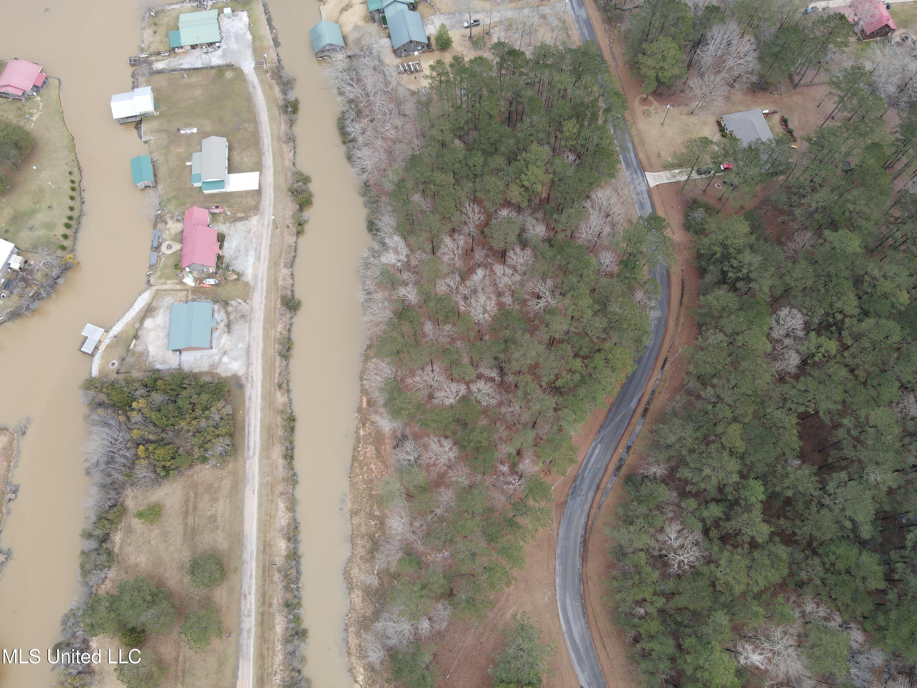 Pine Tree Road Pachuta, MS 39347 - Photo 6 of 21 Photo Mar 09 2025, 2 18 27 PM