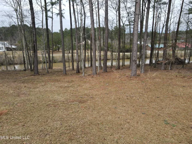$24,000 | Pine Tree Road, Pachuta, MS 39347