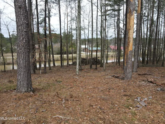 $24,000 | Pine Tree Road, Pachuta, MS 39347