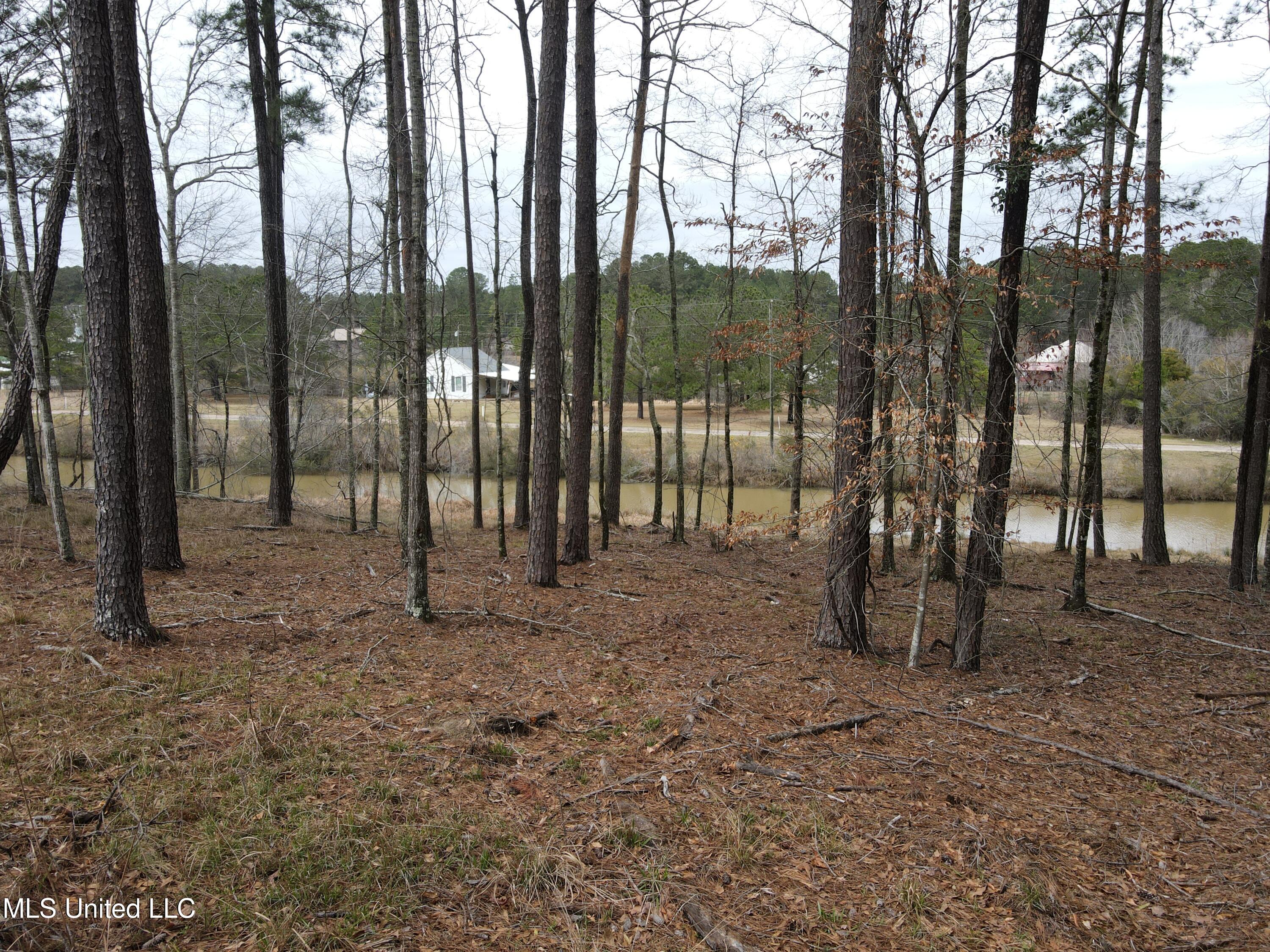 Pine Tree Road Pachuta, MS 39347 - Photo 10 of 21 Photo Mar 09 2025, 2 24 03 PM