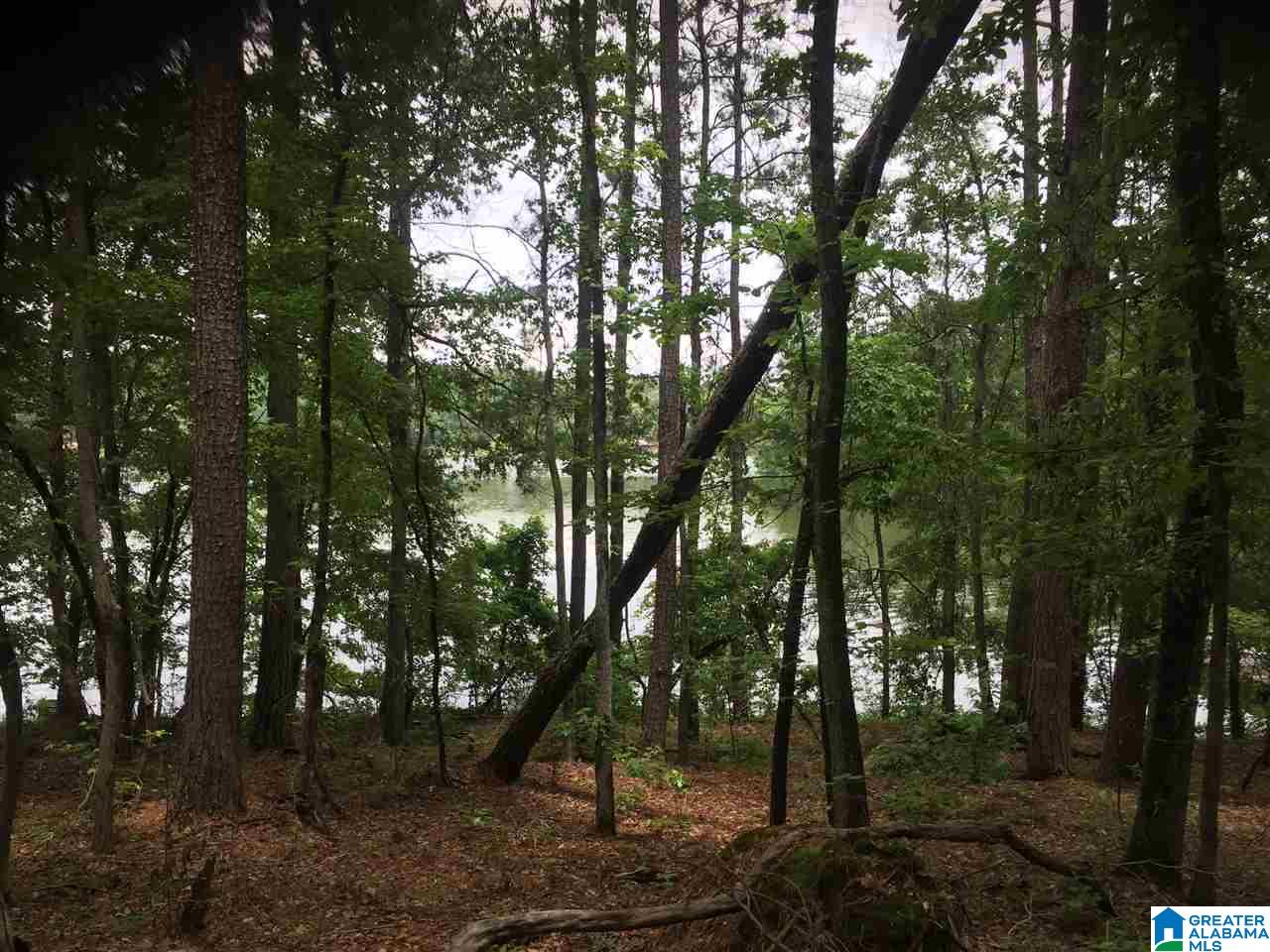 Black Acres Road, Unit 34 Odenville, AL 35120 - Photo 14 of 19