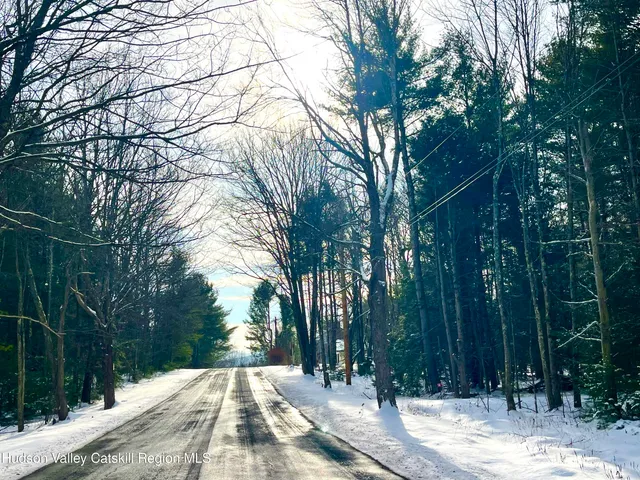 a view of backyard with green space