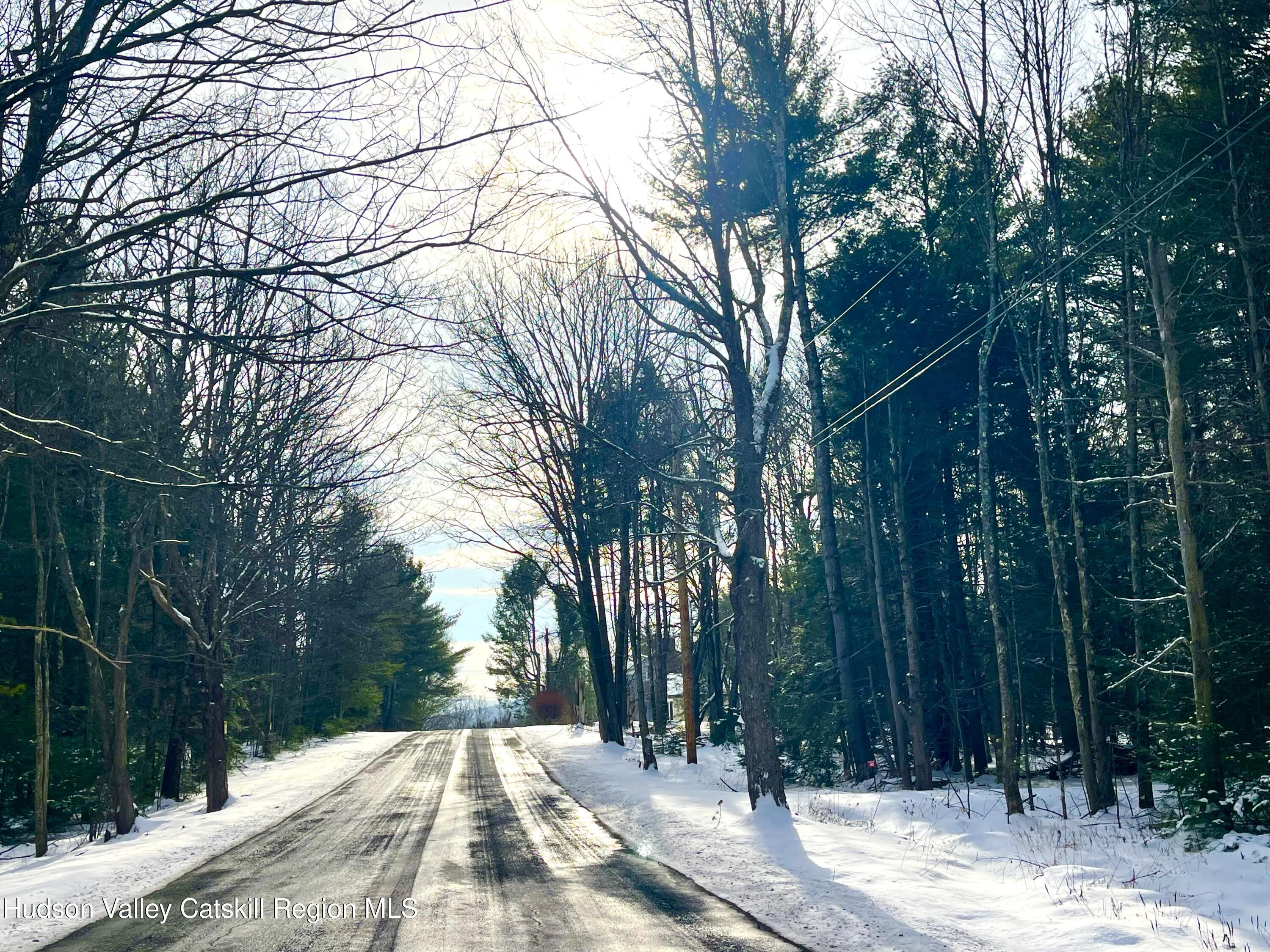 523 Campbell Road Windham, NY 12496 - Photo 2 of 10 a view of backyard with green space