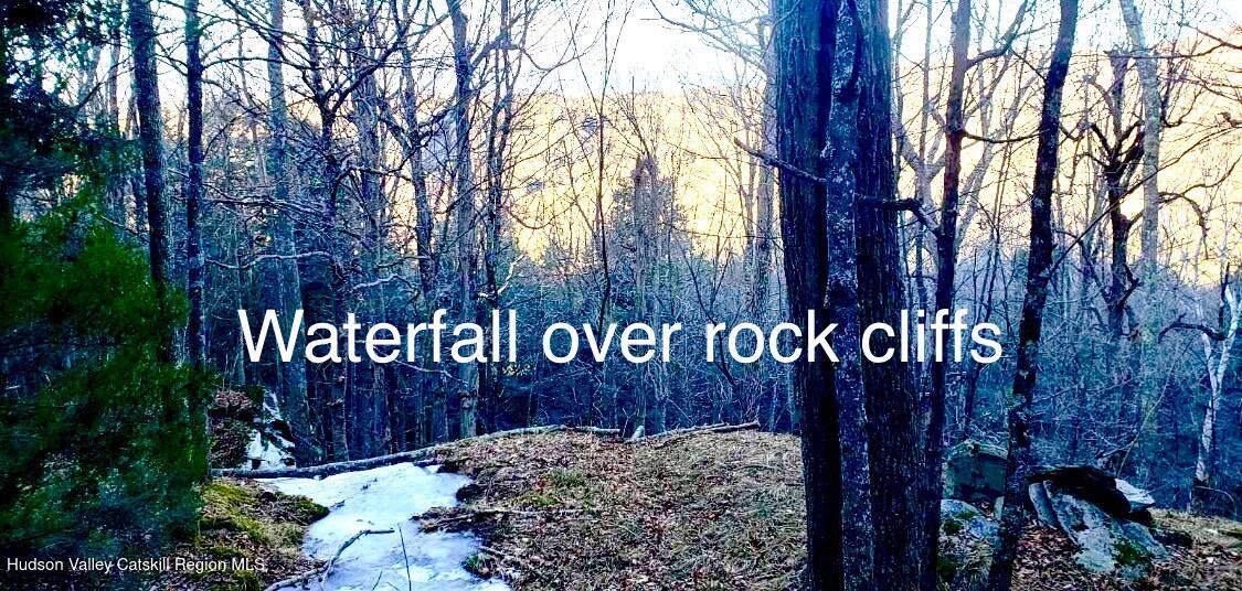 523 Campbell Road Windham, NY 12496 - Photo 4 of 10 a view of outdoor space with sign board and tree