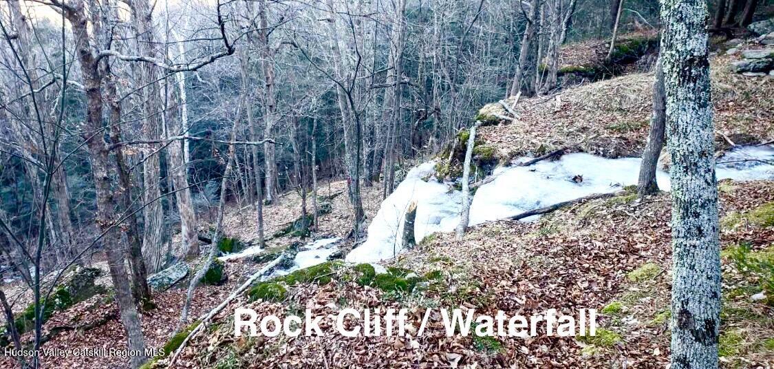 523 Campbell Road Windham, NY 12496 - Photo 5 of 10 a view of a yard with plants and trees