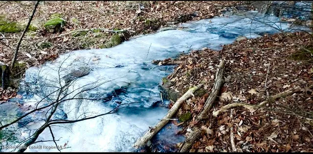 a view of outdoor space