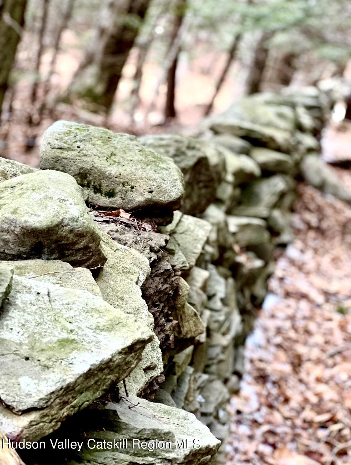 523 Campbell Road Windham, NY 12496 - Photo 8 of 10 a view of outside area of the house
