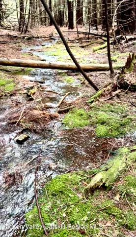 a view of a backyard of the house