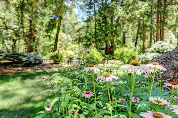 $3,998,500 | 13558 Greenstone Court, Nevada City, CA 95959