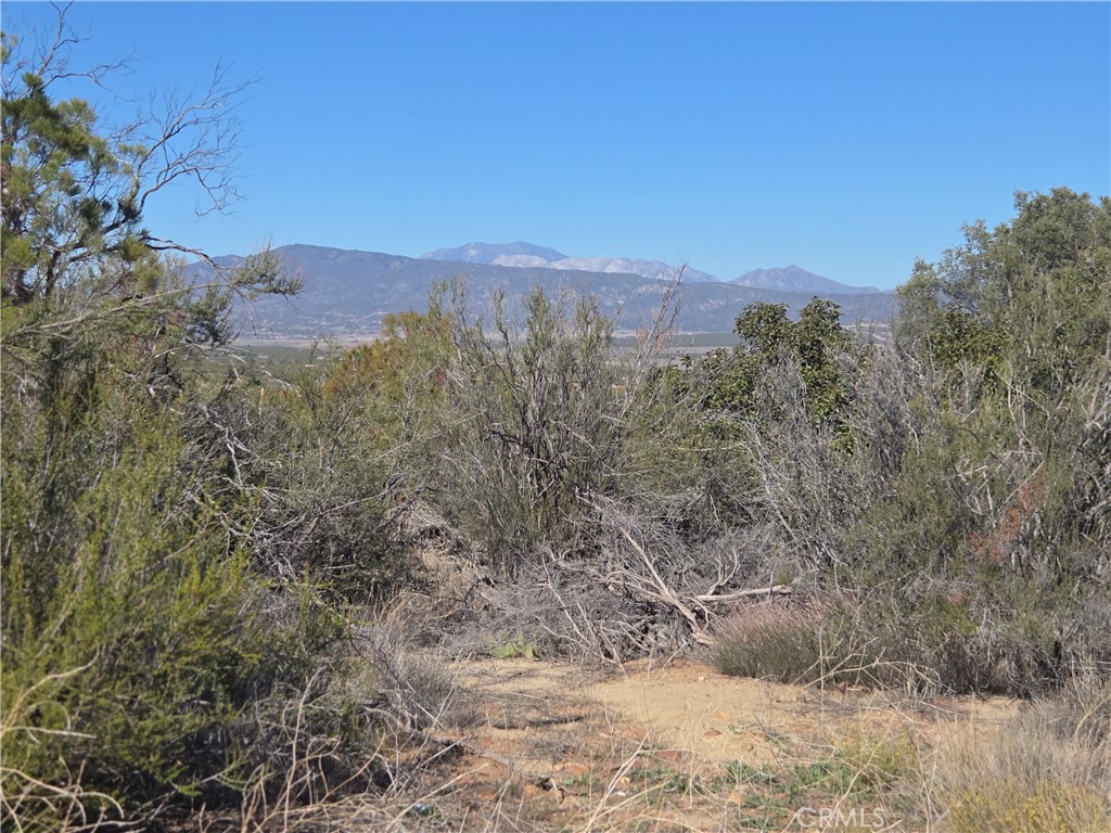 a view of a dry yard with mountains and green space