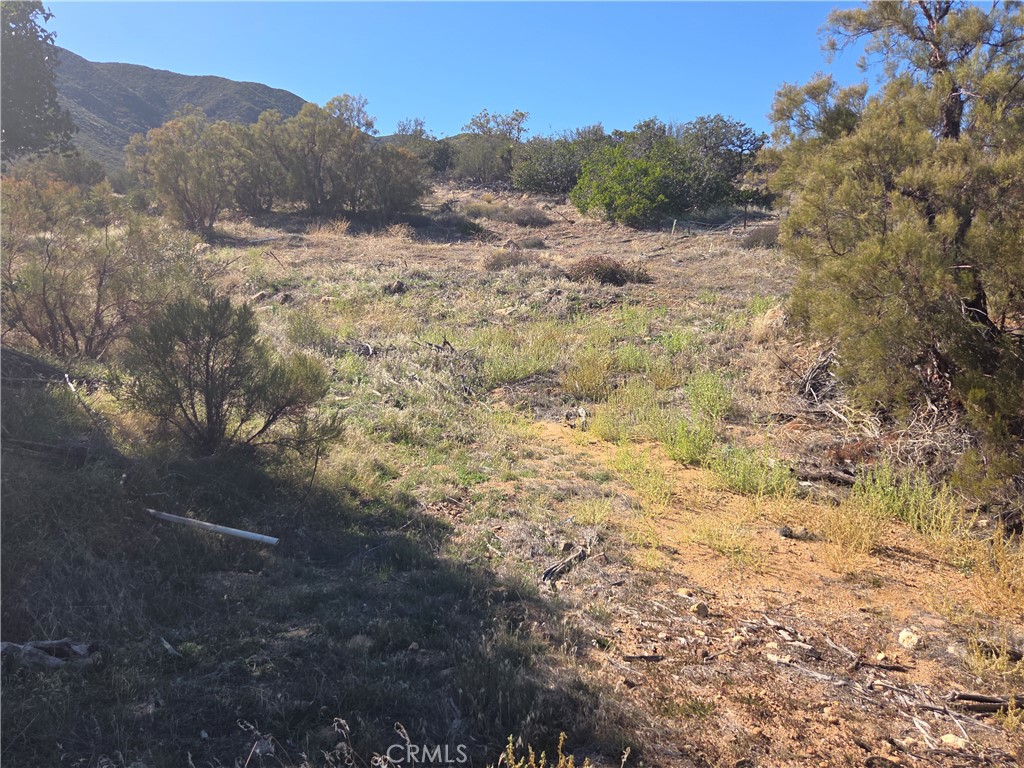 0 Taron Trail Anza, CA 92539 - Photo 2 of 17 a view of a dry yard