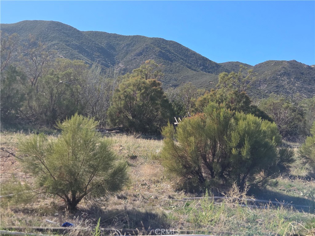 0 Taron Trail Anza, CA 92539 - Photo 5 of 17 a view of a lake with mountains in the background