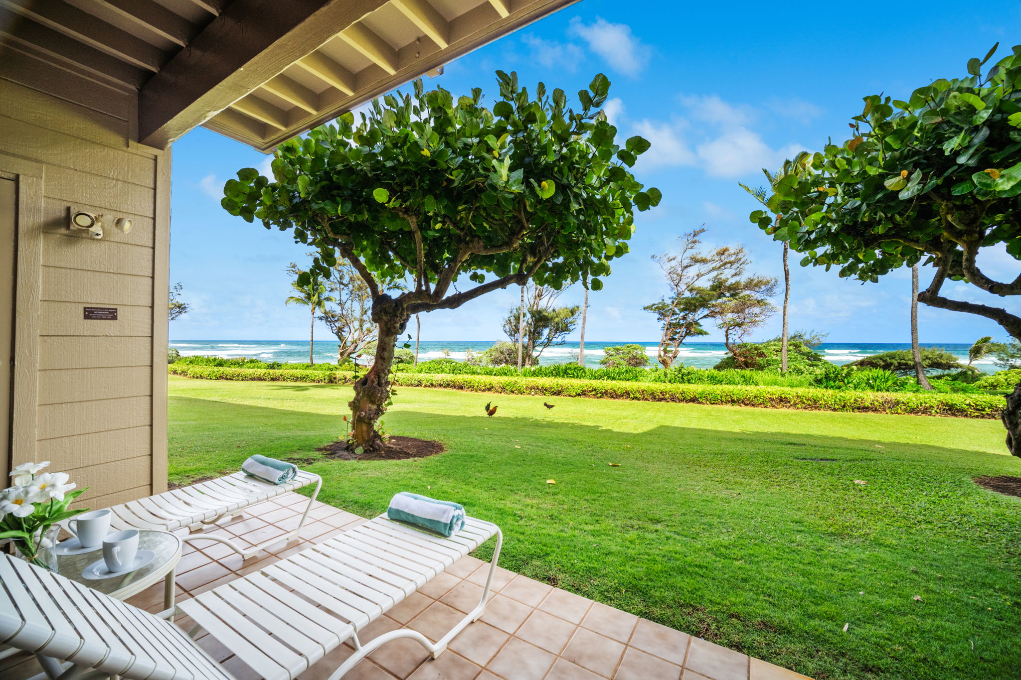 4460 Nehe Road, Unit 122 Lihue, HI 96766 - Photo 13 of 30